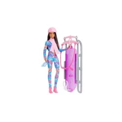 Coffret Poupée Barbie Et Sa Luge