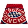 Plaid Polaire Fc Bayern De Munich