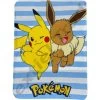 Plaid Polaire Pokemon Pikachu Et Eevee