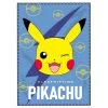 Plaid Polaire Pokemon Pikachu