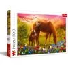 Puzzle 500 Piéces Cheval Et Poulain