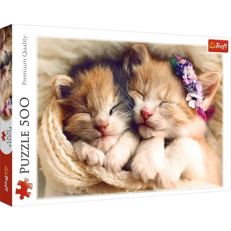 Puzzle 500 Piéces équipe De Chats 1 Puzzle 500 Piéces équipe De Chats